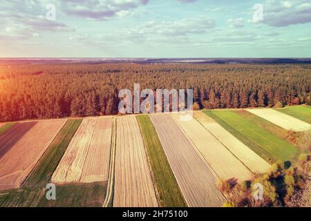 View from above of countryside. View of arable fields and pine forest in spring Stock Photo