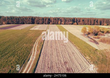 View from above of countryside. View of arable fields and pine forest in spring Stock Photo