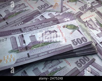 Money of Sri Lanka. Rupee  bills. LKR banknotes. 500 Sinhala. Business, finance, news background. 3d illustration. Stock Photo