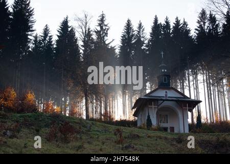 forest chapel in sunbeams, sunbeams through the trees, mysterious light Stock Photo