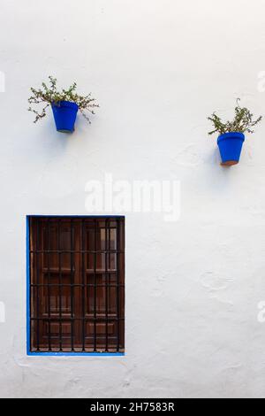 Flower pots on the wall in Cordoba, Spain Stock Photo