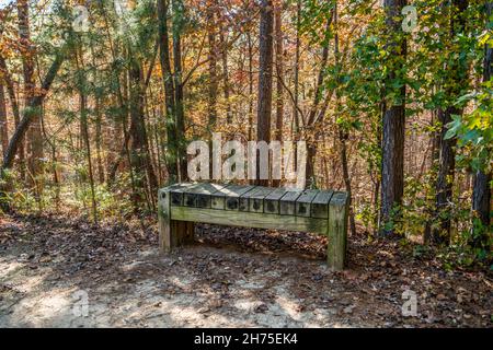 A rustic wooden sitting bench along side the trail in the woodlands in the shade surrounded by fallen leaves and the trees right behind on a sunny day