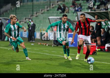 Vila do Conde, 11/20/2021 - This afternoon, Rio Ave Futebol Clube