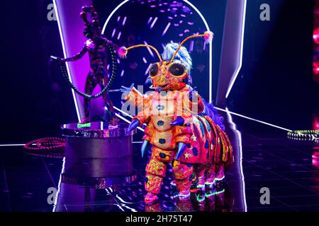 Cologne, Germany. 20th Nov, 2021. The character 'The Caterpillar' is on stage in the Prosieben show 'The Masked Singer'. Credit: Rolf Vennenbernd/dpa/Alamy Live News Stock Photo