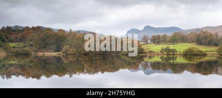 The Langdale Pikes are reflected in the still waters of Loughrigg Tarn on an autumn afternoon of grey cloud and soft light in the Lake District. Stock Photo