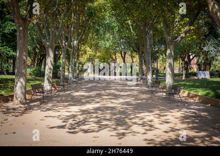 Madrid Mountain Park, Spain. Picture taken – 26 September 2021. Stock Photo