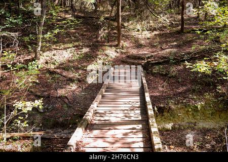 Wooden bridge on a path in the woods Mother Neff State Park Texas Stock Photo