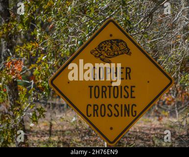 Gopher Tortoise Crossing Sign at a wildlife refuge in Georgia Stock Photo