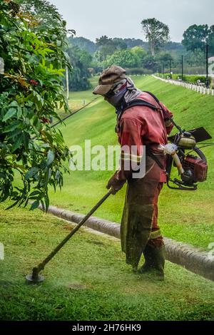 Cut grass best sale with string trimmer