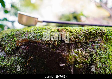 Water ladle for cleansing at the Buddhist temple at Inokashira Park during autumn. In Kichijoji, Tokyo, Japan Stock Photo