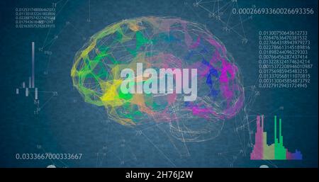 Rotating 360 low polygonal brain 3D model on black background with ...