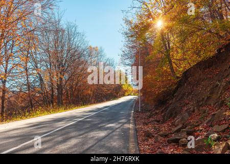 Asphalt road between autumn trees Stock Photo