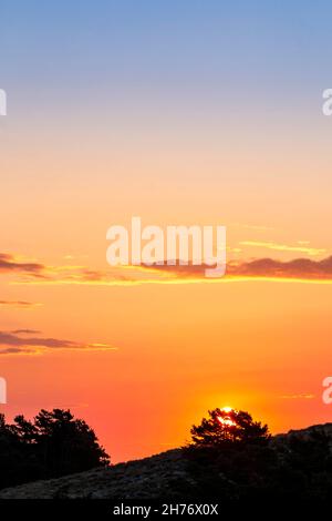 ALPES-MARITIMES (06), REGIONAL NATURAL PARK OF PREALPES D'AZUR, CAUSSOLS, PLATEAU DE CALERN, Stock Photo