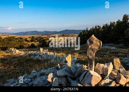 ALPES-MARITIMES (06), REGIONAL NATURAL PARK OF PREALPES D'AZUR, CAUSSOLS, PLATEAU DE CALERN, Stock Photo