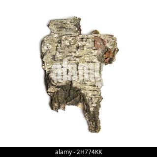 The front sides of a piece of aspen bark. Isolated on white background Stock Photo