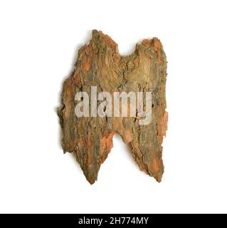 The front sides of a piece of pine bark. Isolated on white background Stock Photo
