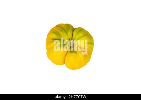 Yellow tomato vegetable isolated on white background. Stock Photo
