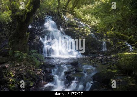 Waterfall in a Rainforest in Galicia, Spain Stock Photo