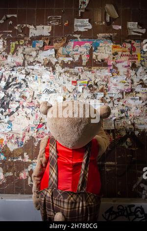 a teddy bear stands near the wall with ads. Stock Photo