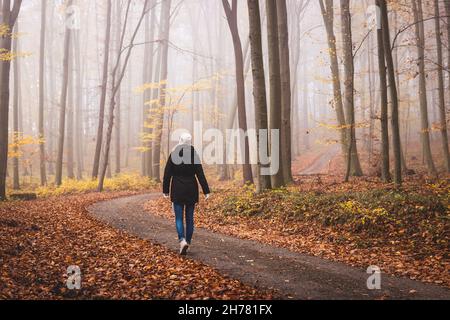 Morning walk in foggy autumn woodland. Lone woman walking in misty forest Stock Photo