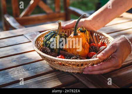 Woman decorating wooden table with pumpkins, cones and other decoration in wicker basket. Preparing table for Thanksgiving dinner in garden Stock Photo
