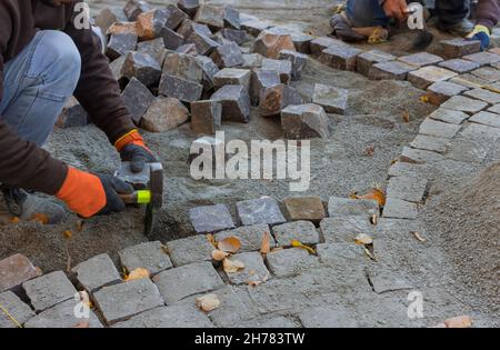 Construction worker laying granite cubes stone pavement on the road Stock Photo