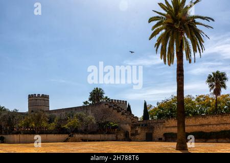 Alcazar fortress, Patio de Armas en Jerez de la Frontera, Real Alcazar Stock Photo