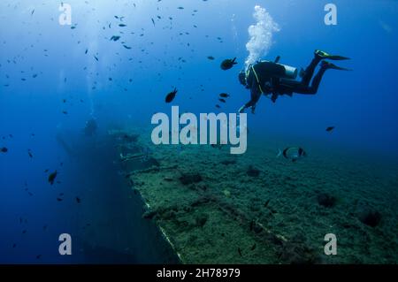 Diver at the MS Zenobia shipwreck. MS Zenobia was a Swedish built Challenger-class RO-RO ferry launched in 1979 that capsized and sank close to Larnac Stock Photo