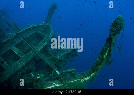 Diver at the MS Zenobia shipwreck. MS Zenobia was a Swedish built Challenger-class RO-RO ferry launched in 1979 that capsized and sank close to Larnac Stock Photo