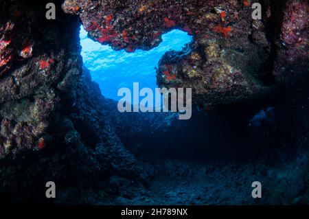 Divers explore natural caves and rocks in the Mediterranean sea off the coast of Larnaca, Cyprus, Stock Photo