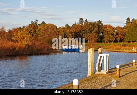 A cruiser rounding a bend on the River Ant in autumn on the Norfolk Broads at Ludham, Norfolk, England, United Kingdom. Stock Photo