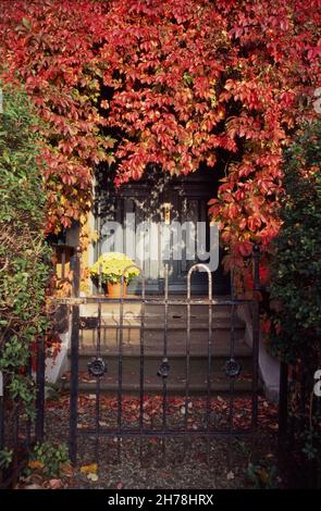 House door ,porch covered in ivy & red leaves, Stock Photo