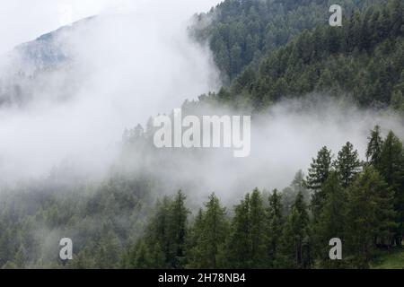 The hills of the Dolomites covered with dense fog Stock Photo