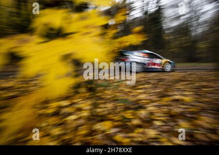 16 Fourmaux Adrien (fra), Coria Alexandre (fra), M-Sport Ford World Rally Team, Ford Fiesta WRC, action during the ACI Rally Monza, 12th round of the 2021 FIA WRC, FIA World Rally Championship, from November 18 to 21, 2021 in Monza, Italy - Photo: Nikos Katikis/DPPI/LiveMedia Stock Photo