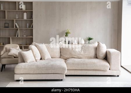 Fashion cozy furniture inside modern light living room Stock Photo