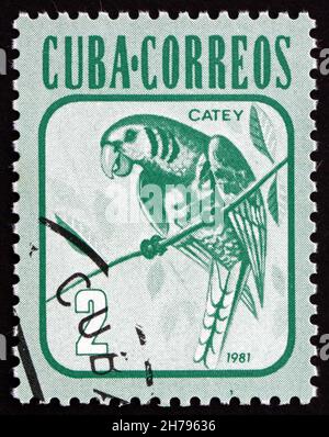 CUBA - CIRCA 1981: a stamp printed in the Cuba shows Parakeet, Bird, circa 1981 Stock Photo
