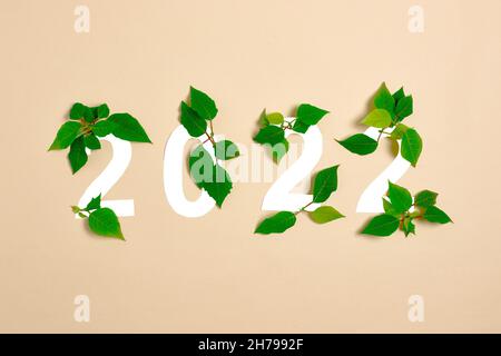 2022 number made from fresh plants and leaves. merry christmas and Happy New Year concept on beige background. 2022 creative background, card design Stock Photo