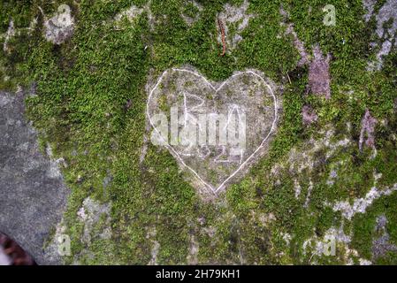 Green Heart Carved in Moss or on Mossy Boulder or Moss-covered Rock Stock Photo