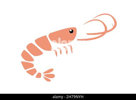 Shrimp vector illustration on white Stock Vector