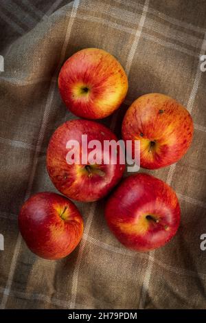 Freshly picked, red, tempting yellow, autumn field apples. Put on a brown linen towel with white squares. Vignette. Healthy diet, autumn mood. Stock Photo