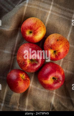 Freshly picked, red, tempting yellow, autumn field apples. Put on a brown linen towel with white squares. Vignette. Healthy diet, autumn mood. Stock Photo