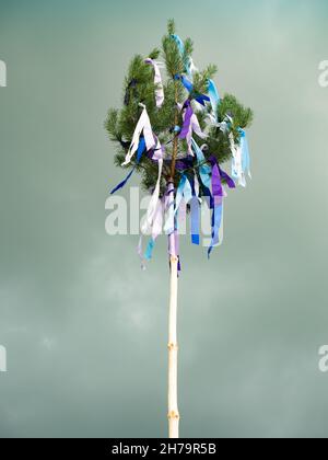 Traditional tall wooden maypole erected with ribbons and small flag- May pole and celebration Stock Photo