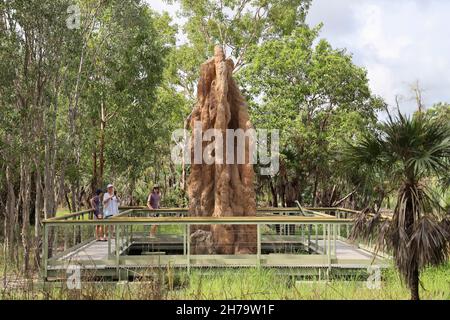 Cathedral termite mound in Litchfield National Park, Northern Territory, Australia. Stock Photo