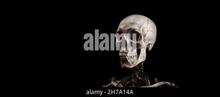 Skeleton of a man on a black background. A real human skeleton. Stock Photo