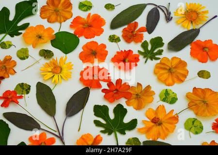 Dried edible flowers for cakes decorating