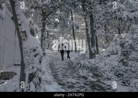 Walking in Snowy Forest. Two people walking in the snow covered forest at winter Stock Photo