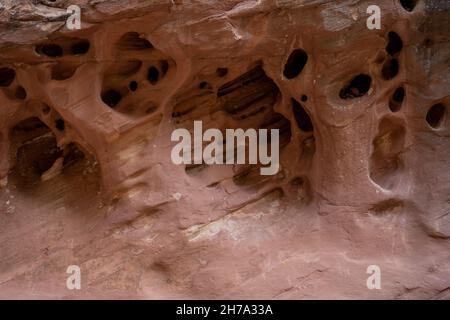 Erosion Holes in Sandstone rock in Capitol Reef National Park Stock Photo