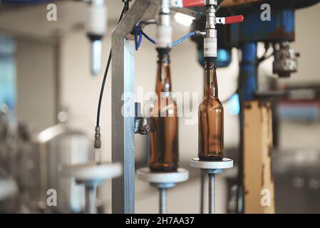 Empty bottles prepared for beer filling. Stock Photo