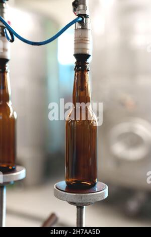 Empty bottles prepared for beer filling. Stock Photo