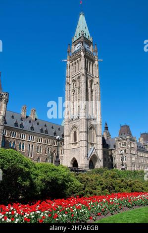 Red and white tulips in bloom under the Peace Tower of Ottawa's Parliament Buildings. Stock Photo